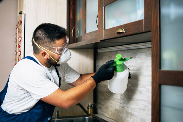 Professional Pest Control in Minden, LA