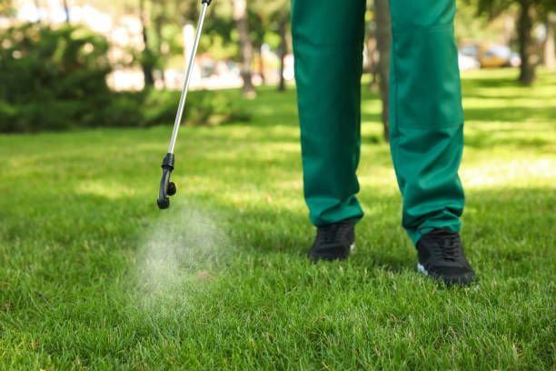 Best Residential Pest Control  in Minden, LA