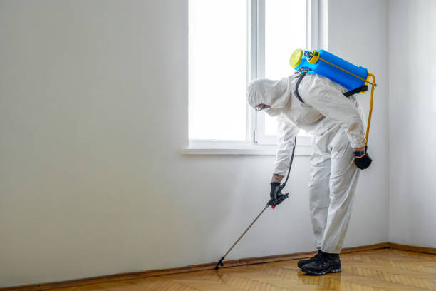 Best Pest Removal Services  in Minden, LA