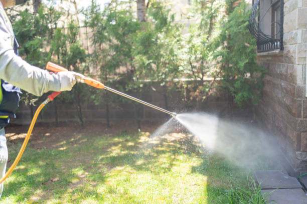 Best Bird Control  in Minden, LA
